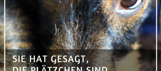 Keine Plätzchen für mich?!