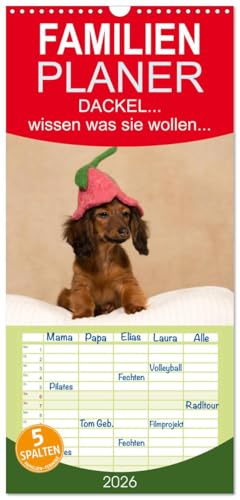 Familienplaner 2026 - DACKEL... wissen was sie wollen... mit 5 Spalten (Wandkalender, 21 cm x 45 cm), CALVENDO: Frech, eigensinnig und liebenswert - man muss sie einfach mögen! (CALVENDO Tiere) Familienplaner 2026 - DACKEL... wissen was sie wollen... mit 5 Spalten (Wandkalender, 21 cm x 45 cm), CALVENDO: Frech, eigensinnig und liebenswert - man muss sie einfach mögen! (CALVENDO Tiere)