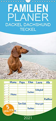 DACKEL DACHSHUND TECKEL 2021 - Familienplaner hoch (Wandkalender 2021, 21 cm x 45 cm, hoch) DACKEL DACHSHUND TECKEL 2021 - Familienplaner hoch (Wandkalender 2021, 21 cm x 45 cm, hoch)