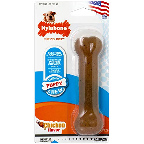 Nylabone Puppy Bone Flexible Chew Kauknochen