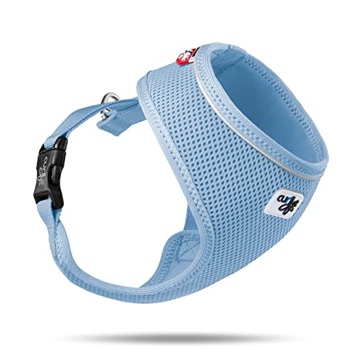 Basic Harness Air-Mesh Skyblue M Basic Harness Air-Mesh Skyblue M