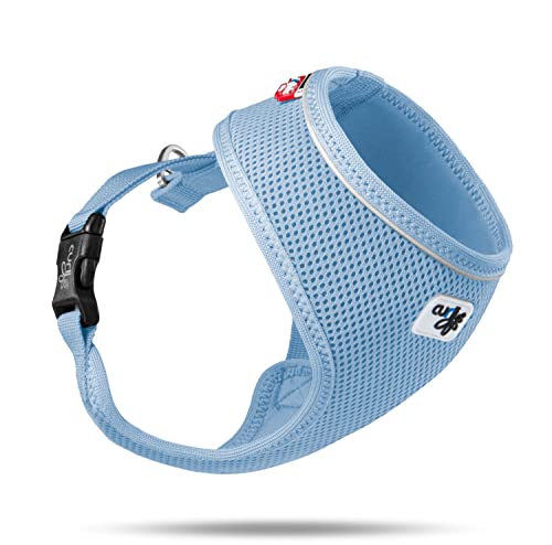 Basic Harness Air-Mesh Skyblue M