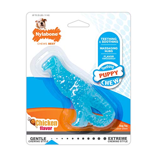 Interpet NDD001PEU Nylabone für Welpen, Dinosaurier-Kauspielzeug für den Zahnwechsel - Hühnergeschmack, S Interpet NDD001PEU Nylabone für Welpen, Dinosaurier-Kauspielzeug für den Zahnwechsel - Hühnergeschmack, S