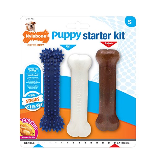 Nylabone Kauspielzeug für Welpen Starter Kit, 3 Stück (1er Pack) Nylabone Kauspielzeug für Welpen Starter Kit, 3 Stück (1er Pack)
