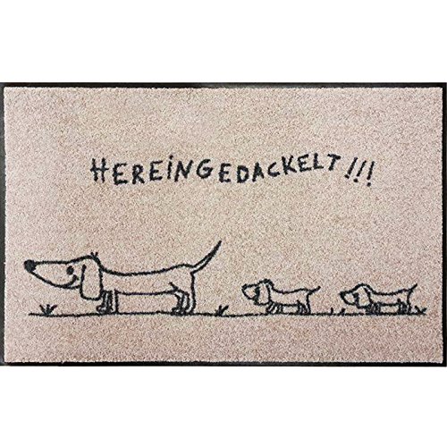 Salonloewe Fußmatte waschbar Hereingedackelt Family 50x75 cm beige-anthrazit mit Motiv Dackel Schmutzfangmatte Fußabtreter Sauberlaufmatte, Türvorleger, Hunde Salonloewe Fußmatte waschbar Hereingedackelt Family 50x75 cm beige-anthrazit mit Motiv Dackel Schmutzfangmatte Fußabtreter Sauberlaufmatte, Türvorleger, Hunde