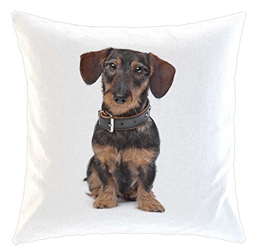 Kissen/weiches Kuschelkissen mit Füllung 40x40cm - Motiv: Dackel/Teckel - Rauhhaardackel | 011