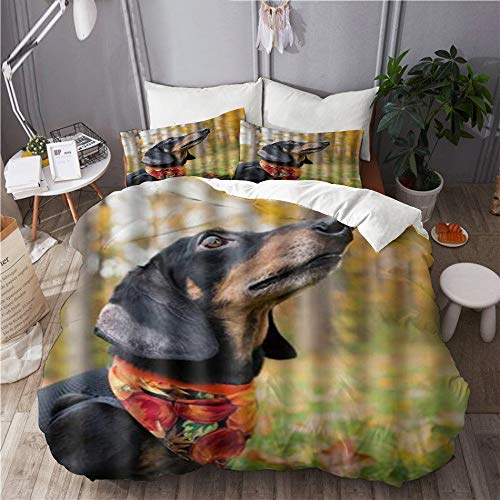 Minalo Bettwäsche-Set,Mikrofaser,Nette Liebe Baby Dackel Hund Thema Druck,1 Bettbezug 240x260 + 2 Kopfkissenbezug Minalo Bettwäsche-Set,Mikrofaser,Nette Liebe Baby Dackel Hund Thema Druck,1 Bettbezug 240x260 + 2 Kopfkissenbezug