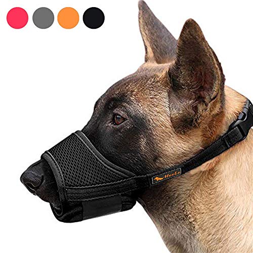 HEELE Maulkorb Für Hunde, Verstellbare Schlaufe, Atmungsaktiv, Sicherer, Schneller Sitz Für Kleine, Mittelgroße Hunde, Verhindert Das Beißen, Kauen Und Bellen (S, Schwarz) HEELE Maulkorb Für Hunde, Verstellbare Schlaufe, Atmungsaktiv, Sicherer, Schneller Sitz Für Kleine, Mittelgroße Hunde, Verhindert Das Beißen, Kauen Und Bellen (S, Schwarz)