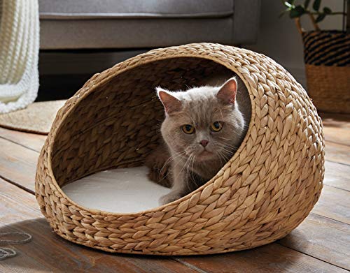 Tierbett Kuschelhöhle aus Wasserhyazinthe, Ø 50 cm, inkl. Kissen, Katzenkorb, Katzenbett, Hundebett, Hundekörbchen Tierbett Kuschelhöhle aus Wasserhyazinthe, Ø 50 cm, inkl. Kissen, Katzenkorb, Katzenbett, Hundebett, Hundekörbchen
