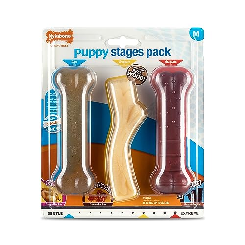 Nylabone Welpen Stufen Dreierpack, sanftes Huhn Starter kauen, Graduate Ahorn Speck Holz Stick, Graduate Rindfleisch Jerky Extreme Knochen, Medium (1 Packung mit 3 Kauspielzeug) Nylabone Welpen Stufen Dreierpack, sanftes Huhn Starter kauen, Graduate Ahorn Speck Holz Stick, Graduate Rindfleisch Jerky Extreme Knochen, Medium (1 Packung mit 3 Kauspielzeug)