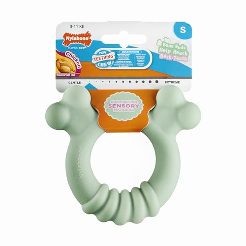 Nylabone, Beißring für Welpen aus sensorischem Material, Kauspielzeug, Geschmack: Huhn, Klein - Für Welpen bis 11 kg