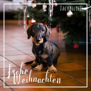 Frohe dackelige Weihnachten!