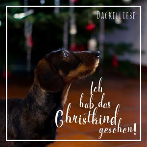 Ich habe das Christkind gesehen!